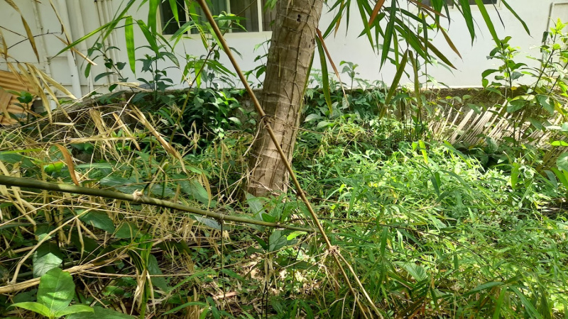  Residential Plot 2831 Sq.ft. for Sale in Bolar, Mangalore