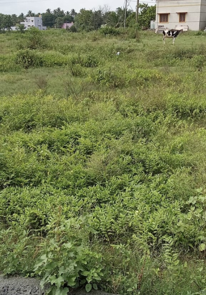  5 Acre Residential Plot for Sale in Bargur, Krishnagiri