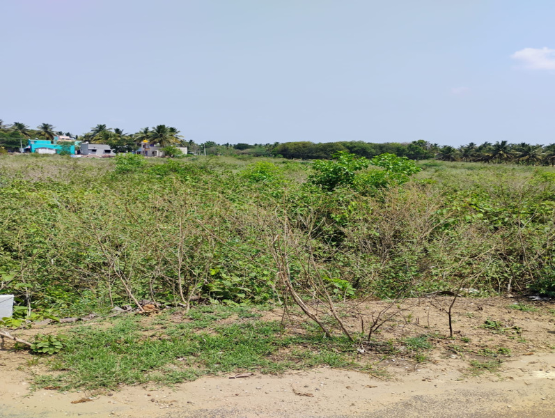  5 Acre Residential Plot for Sale in Bargur, Krishnagiri