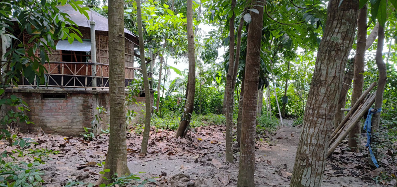  Residential Plot 20500 Sq.ft. for Sale in Birnagar, Nadia