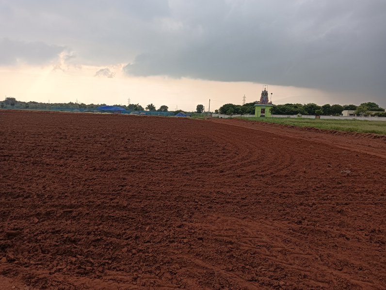  Industrial Land 4 Acre for Sale in T. Kallupatti, Madurai