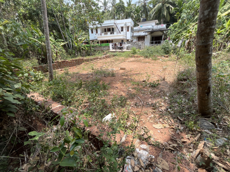  Residential Plot 5 Cent for Sale in Manakkadavu Road, Kozhikode