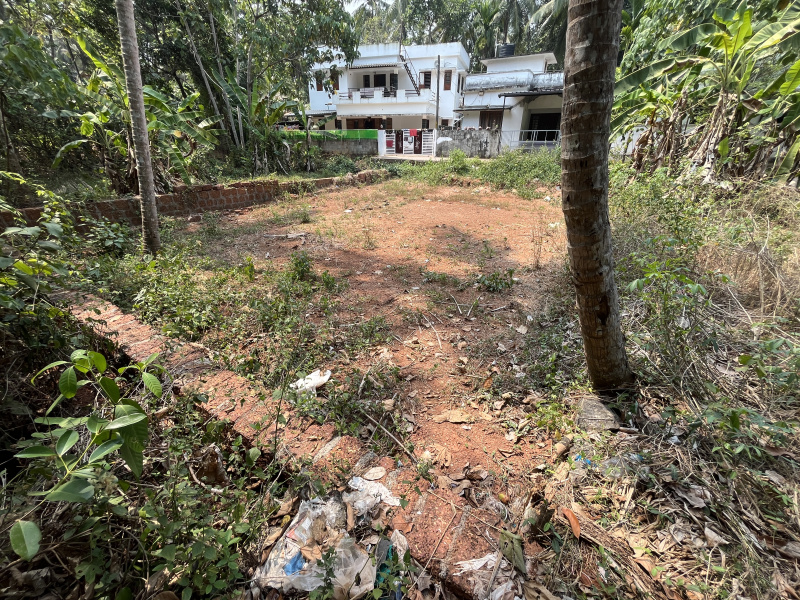  Residential Plot 5 Cent for Sale in Manakkadavu Road, Kozhikode