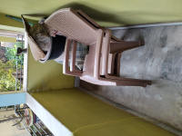 2 BHK Flat for Sale in Thakurpukur, Kolkata