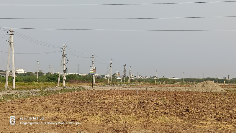  1800 Sq.ft. Residential Plot for Sale in Ongole, Prakasam