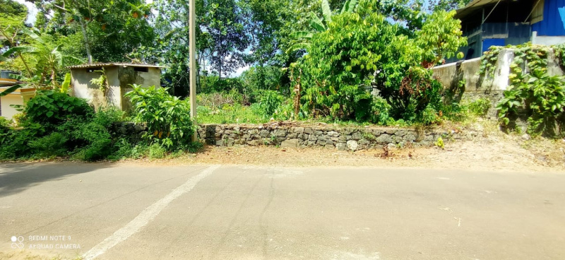  Residential Plot 10000 Sq.ft. for Rent in Thiruvalla, Pathanamthitta