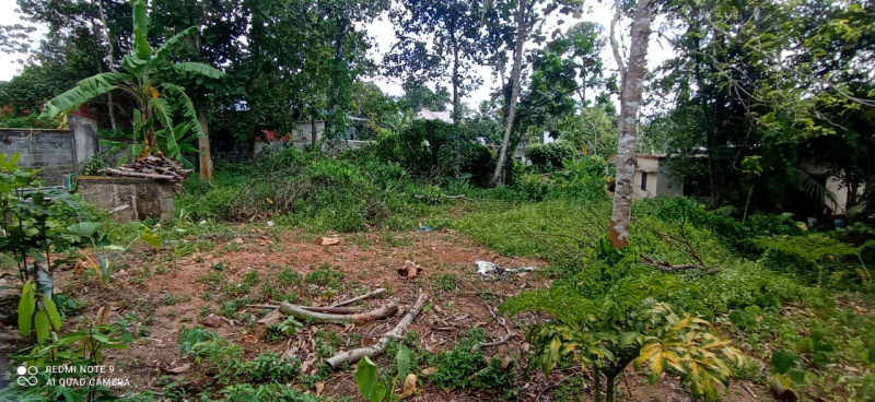  Residential Plot 10000 Sq.ft. for Rent in Thiruvalla, Pathanamthitta