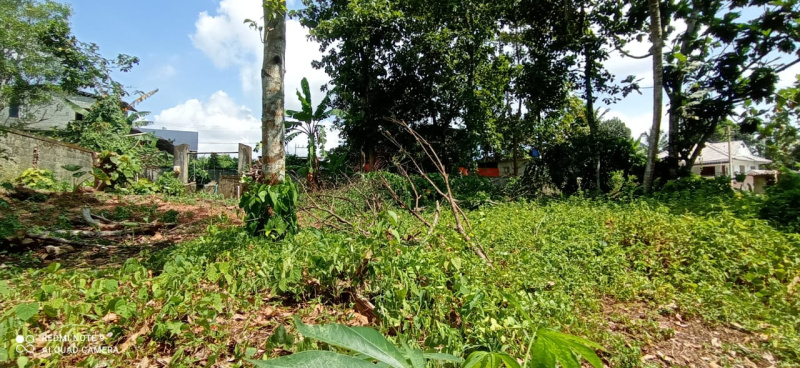  Residential Plot 10000 Sq.ft. for Rent in Thiruvalla, Pathanamthitta