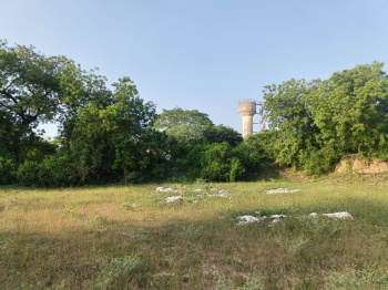  Agricultural Land for Sale in Kadi, Mahesana