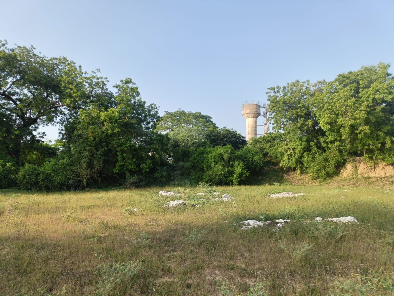  Agricultural Land 4 Bigha for Sale in Kadi, Mahesana