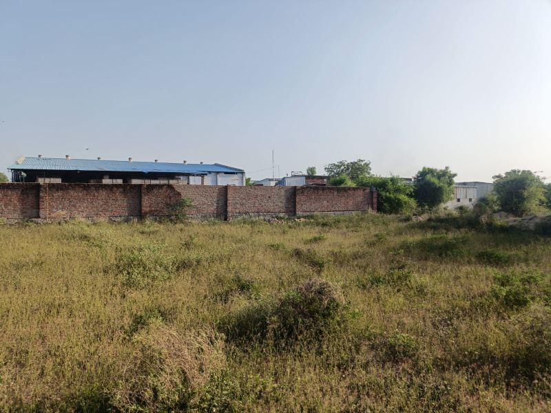  Agricultural Land 4 Bigha for Sale in Kadi, Mahesana