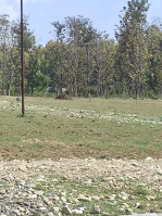  Residential Plot for Sale in Shimla Bypass Road, Dehradun