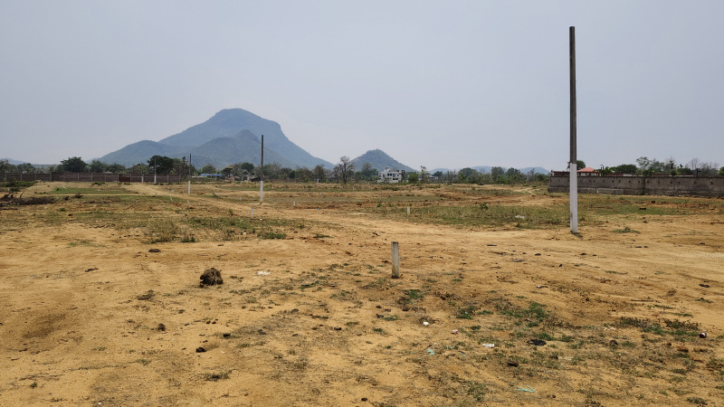  Residential Plot 2100 Sq.ft. for Sale in Palace Line, Balangir