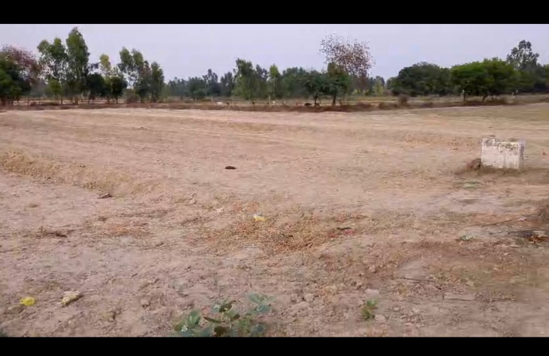  Residential Plot 1 Bigha for Sale in Purwa, Unnao