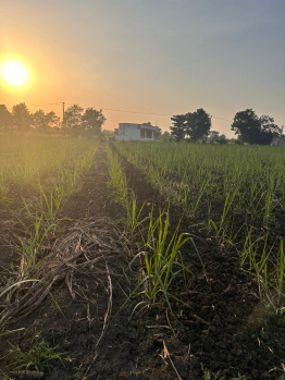  Agricultural Land for Sale in Kamrej, Surat