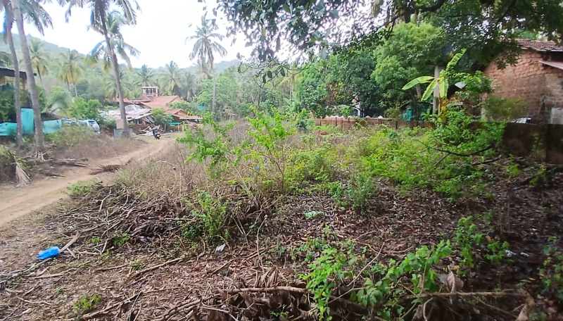  Residential Plot 410 Sq. Meter for Sale in Canacona, Goa