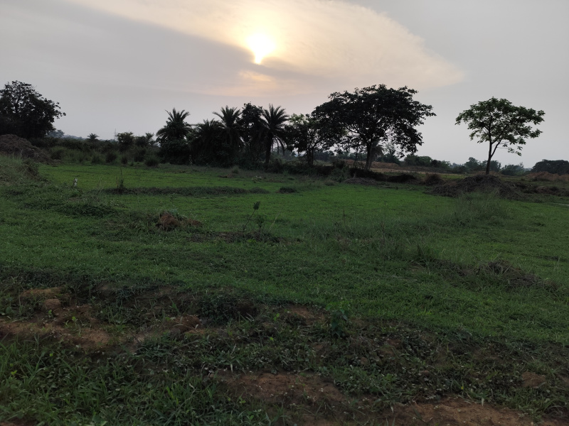  Residential Plot 3 Katha for Sale in Ethora, Asansol