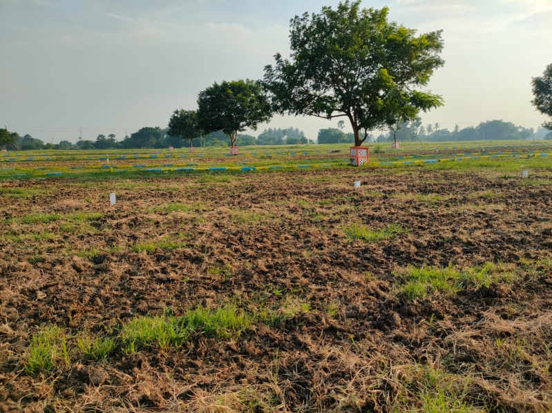  Commercial Land 1200 Sq.ft. for Sale in Minjur, Chennai