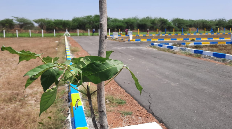  Commercial Land 1200 Sq.ft. for Sale in Minjur, Chennai
