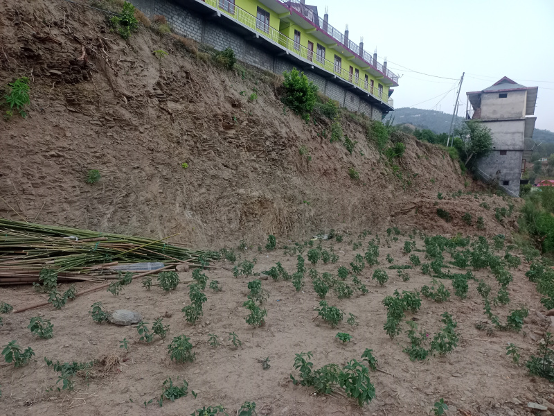 Hotels 1 Bigha for Rent in Ghanahatti, Shimla