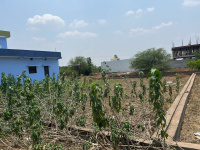  Residential Plot for Sale in Civil Lines, Raipur