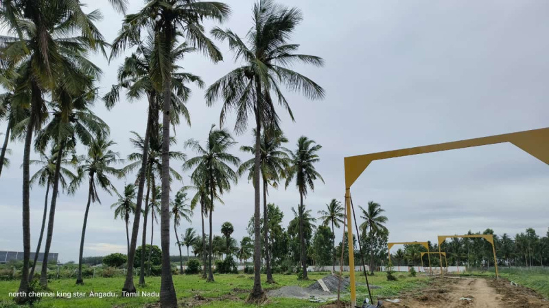  Residential Plot 600 Sq.ft. for Sale in Angadu, Chennai