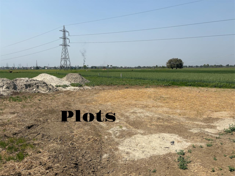  Commercial Land 1200 Sq.ft. for Sale in Bausi, Banka