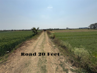 Residential Plot for Sale in Fatwah, Patna