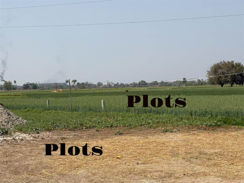  Residential Plot 1200 Sq.ft. for Sale in Fatwah, Patna