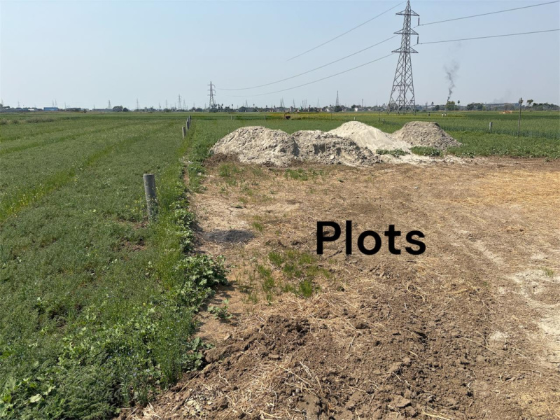  Residential Plot 1200 Sq.ft. for Sale in Fatwah, Patna