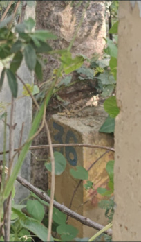  Residential Plot for Sale in Kistareddypet, Hyderabad