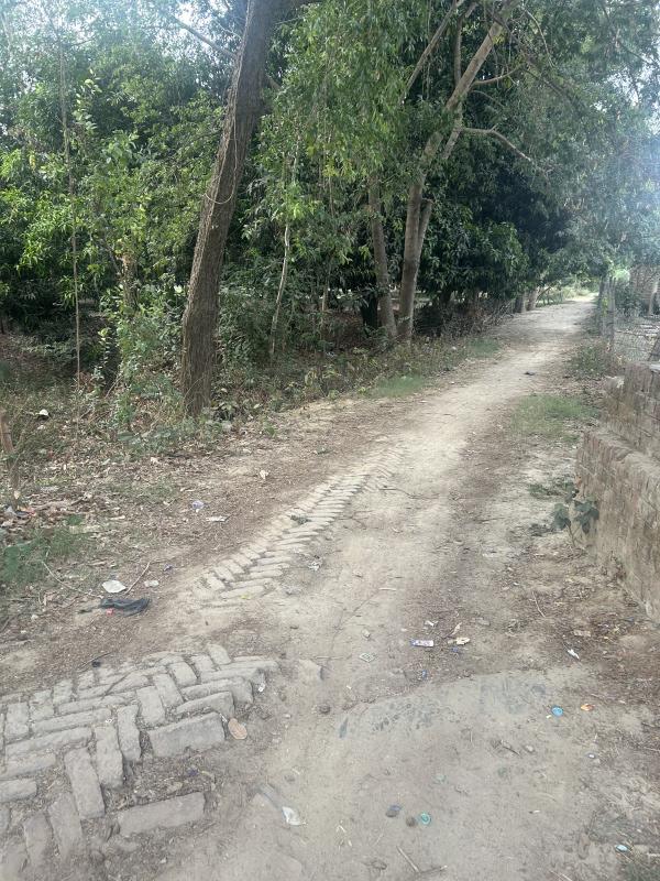  Residential Plot 48973 Sq.ft. for Sale in Sidhauli, Sitapur