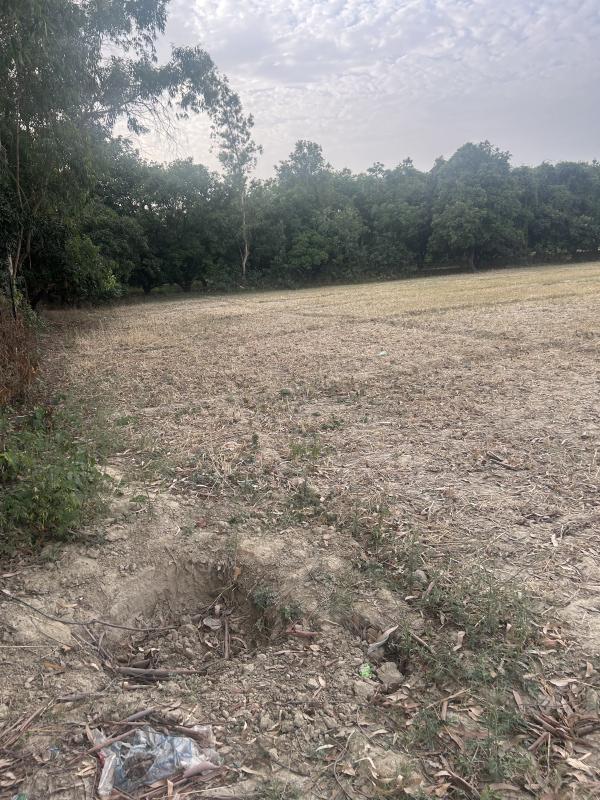  Residential Plot 48973 Sq.ft. for Sale in Sidhauli, Sitapur