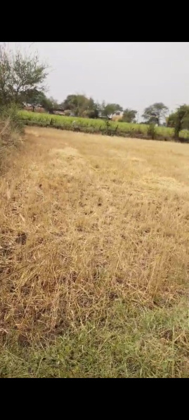  Agricultural Land 60 Dismil for Sale in Kawardha, Kabirdham