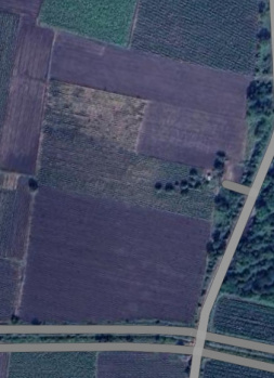  Agricultural Land for Sale in Karjan, Vadodara