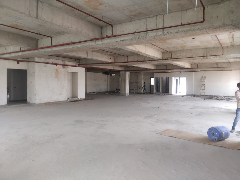  Warehouse 44000 Sq.ft. for Rent in Phase V Udyog Vihar, Gurgaon