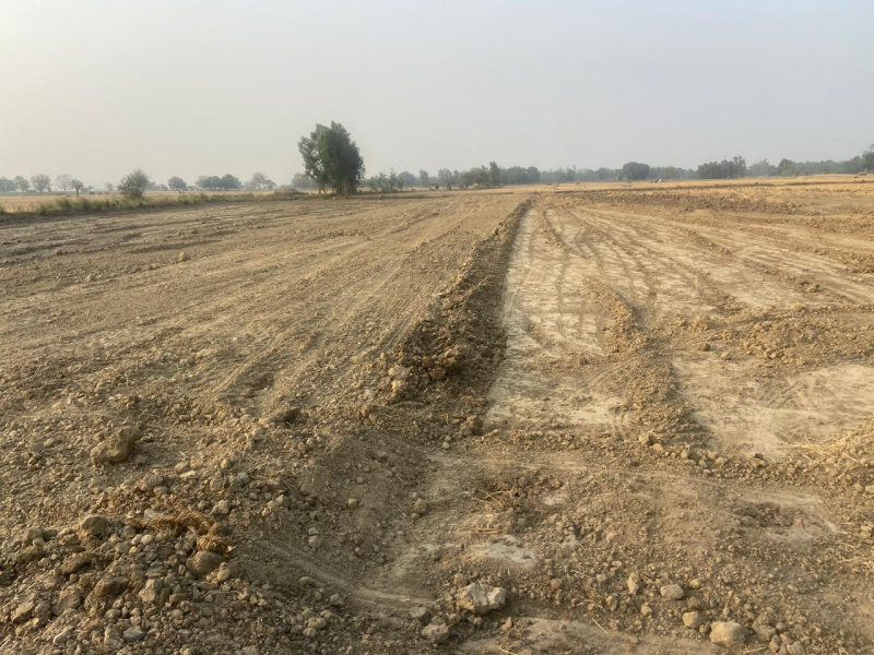  Residential Plot 1500 Sq.ft. for Sale in Mohanlalganj, Lucknow