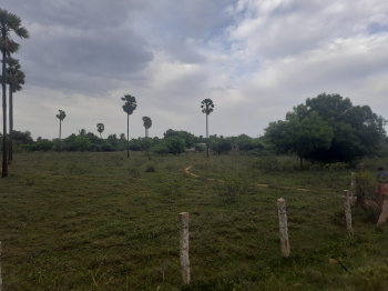  Agricultural Land for Sale in Papanasam, Tirunelveli