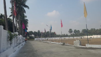  Residential Plot for Sale in Pollachi, Coimbatore