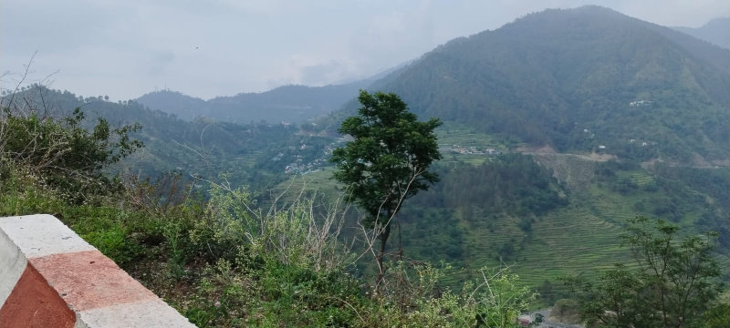  Residential Plot 240 Sq. Yards for Sale in Chamba, Tehri Garhwal