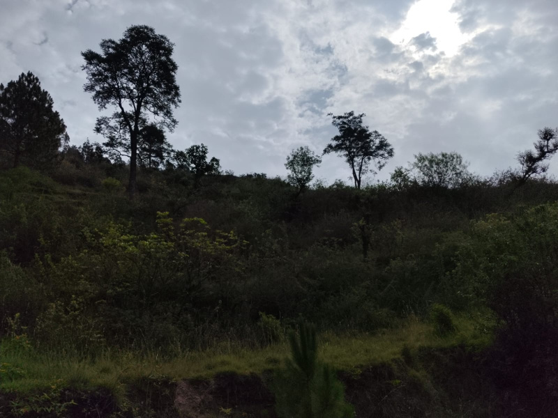  Residential Plot 240 Sq. Yards for Sale in Chamba, Tehri Garhwal