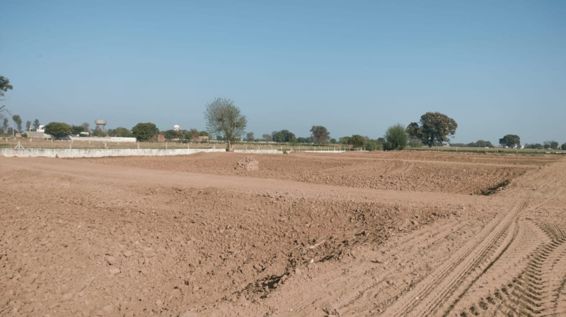  Residential Plot 100 Sq. Yards for Sale in Jewar, Gautam Buddha Nagar