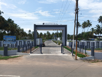  Residential Plot for Sale in Thondamuthur, Coimbatore
