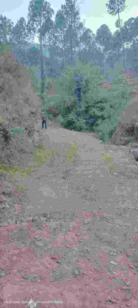  Residential Plot 4 Bigha for Sale in Sarahan, Sirmour