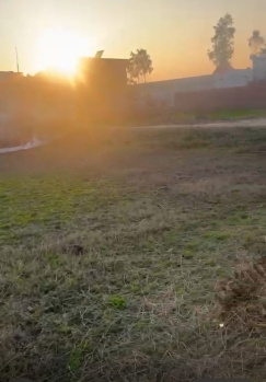  Residential Plot for Sale in Ramnagar, Nainital