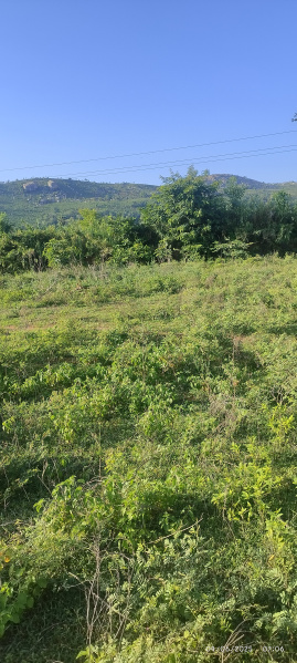  Residential Plot 2500 Sq.ft. for Sale in Peruru, Tirupati