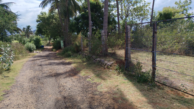  Residential Plot 476 Cent for Sale in Chinnalapatti, Dindigul