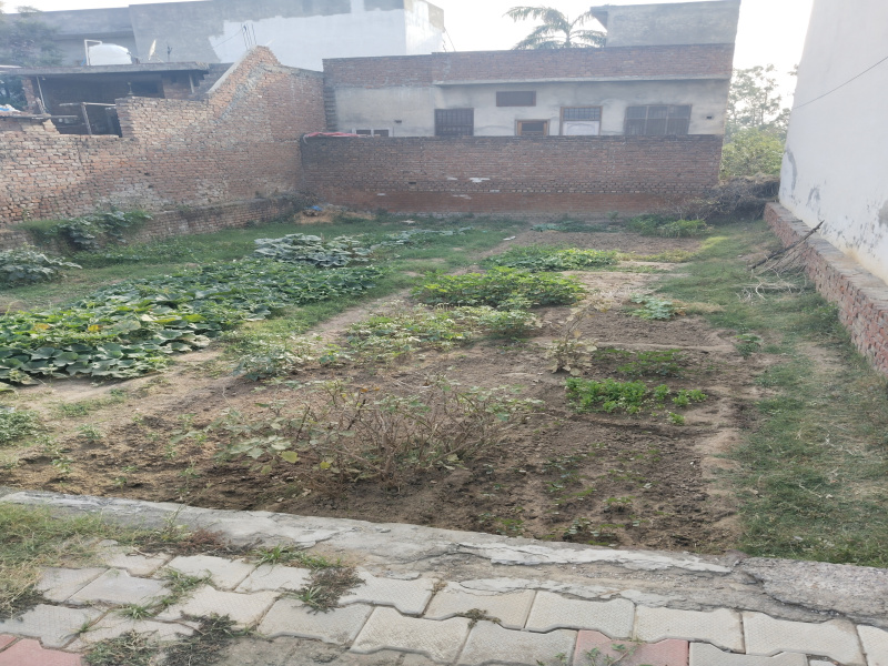  Residential Plot 2000 Sq.ft. for Sale in Jugial Kalanaur, Gurdaspur