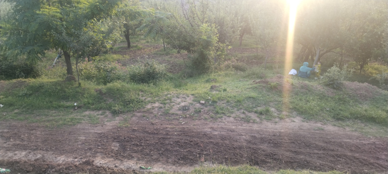  Residential Plot 20 Marla for Sale in Delina, Baramula