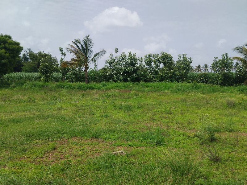  Residential Plot 1200 Sq.ft. for Sale in Gabbur, Hubli